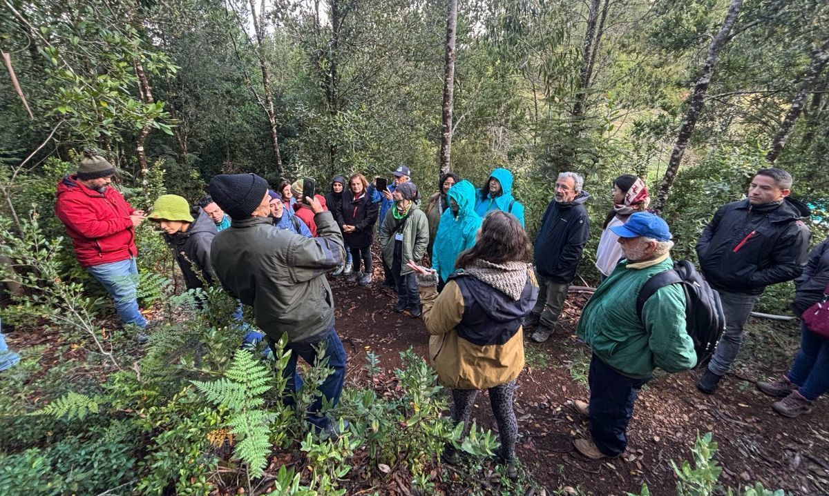 Todo un éxito fue el primer encuentro nacional del observatorio de bosques y políticas forestales 