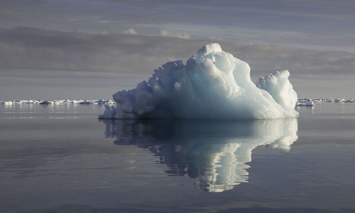 Científicos detectan contaminantes tóxicos en microorganismos de la Antártica