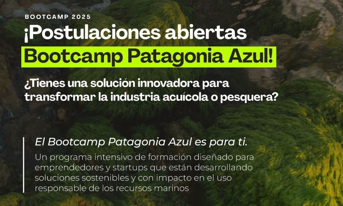 El programa busca transformar la industria acuícola o pesquera hacia un futuro más sostenible. Crédito: Cedida.