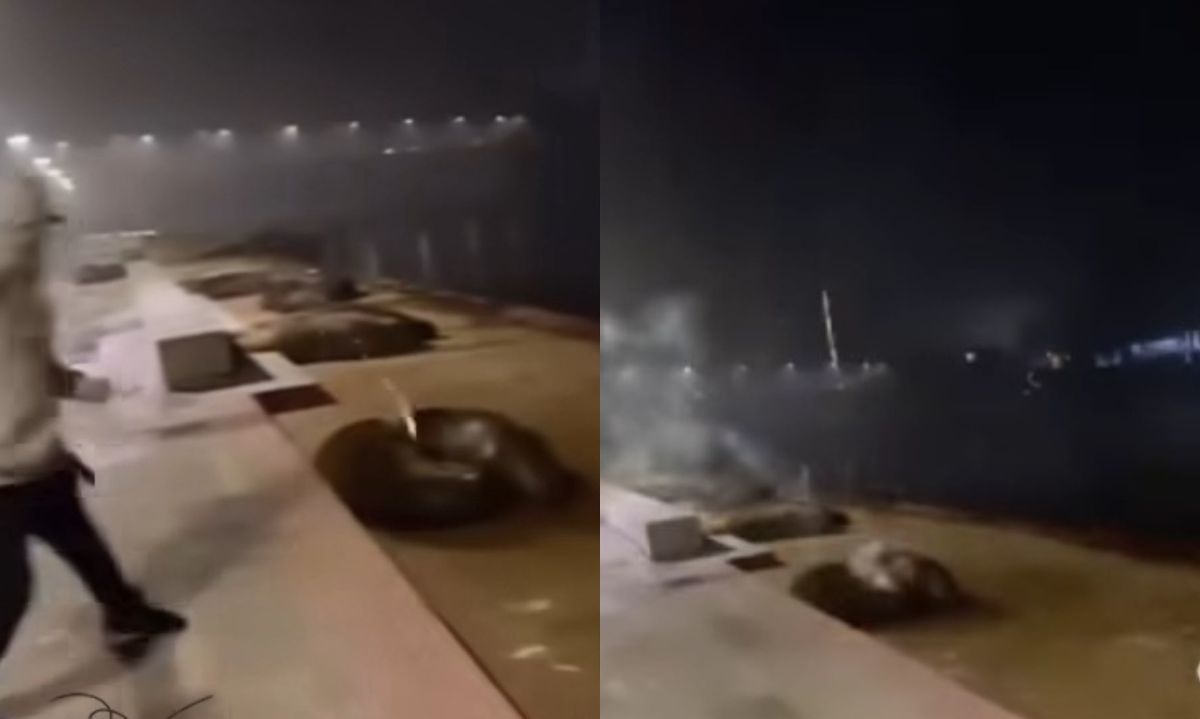 Capturas del video que evidencia el maltrato. Créditos: Redes sociales.