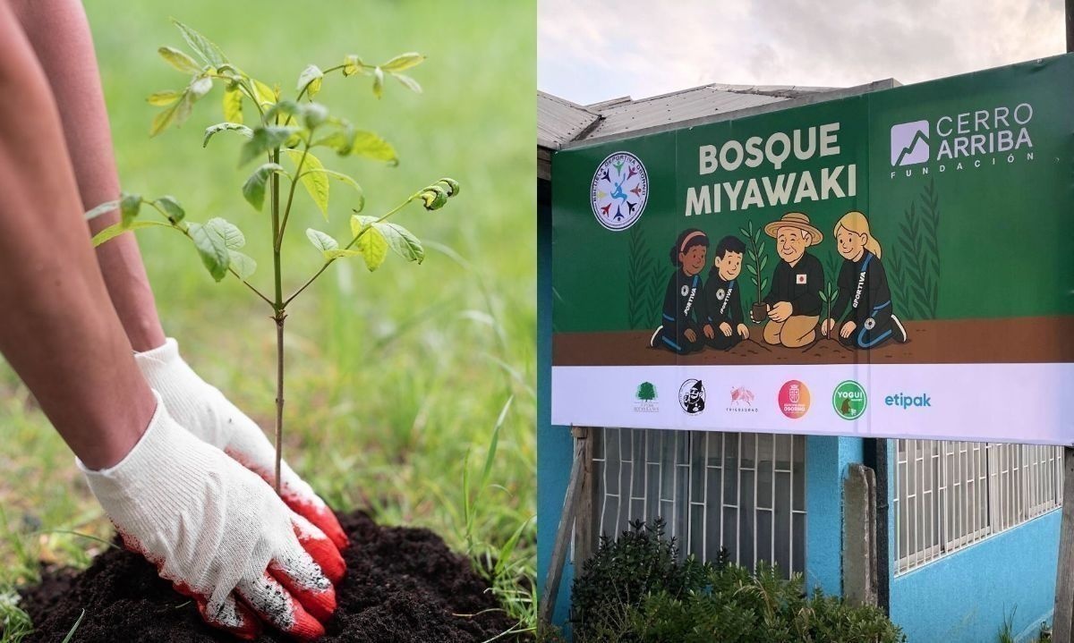 La creación de este bosque de bolsillo se realizará en una escuela de Osorno. Crédito: Cedida.