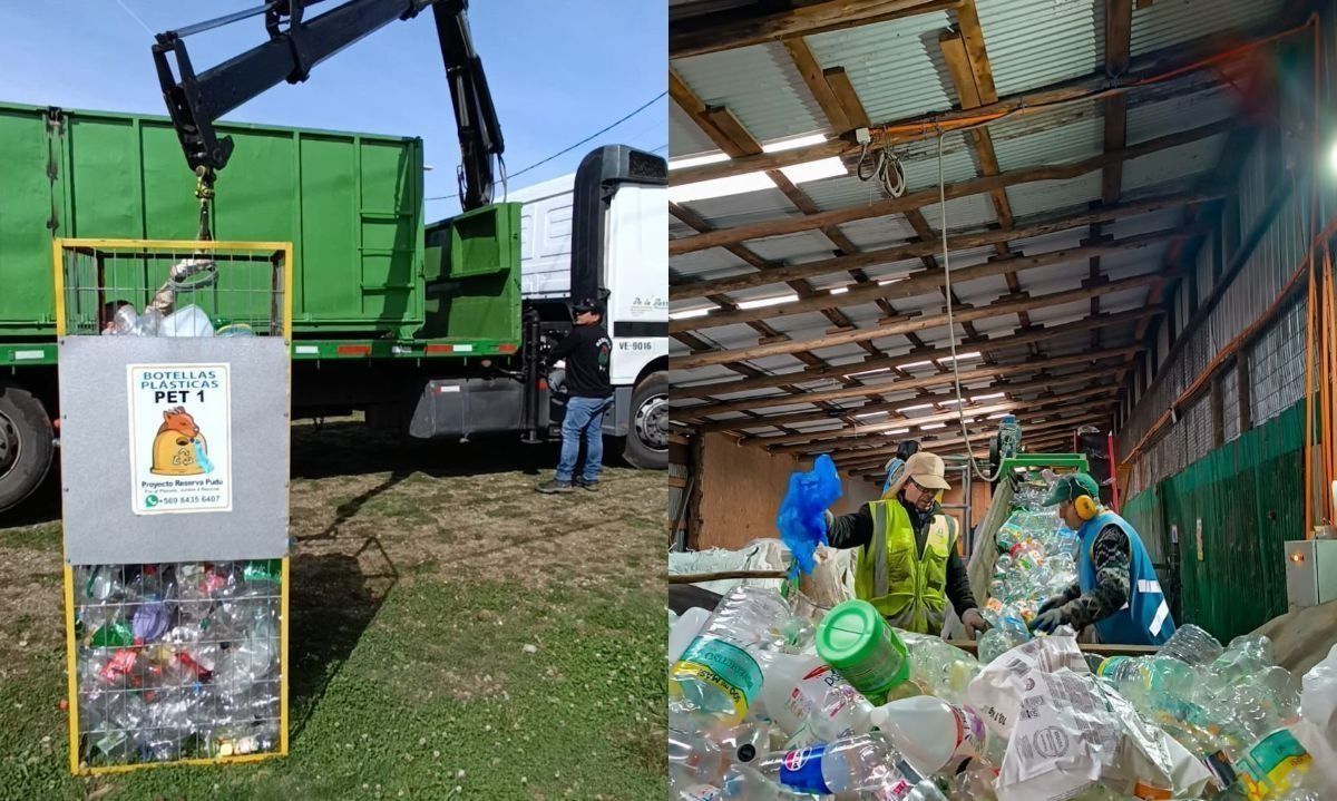 El proyecto invita a la comunidad a reciclar de forma gratuita. Crédito: Proyecto Pudú.