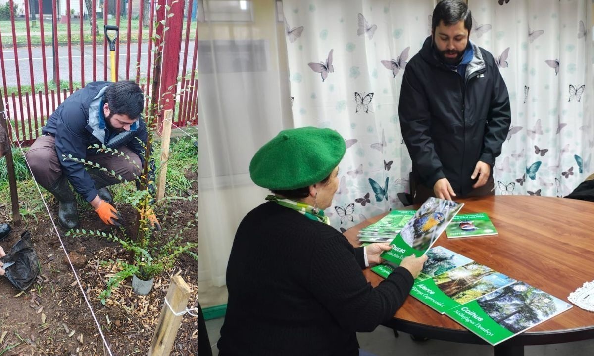 En la instancia además se sumaron nuevos ejemplares al bosque de bolsillo. Crédito: Fundación Cerro Arriba