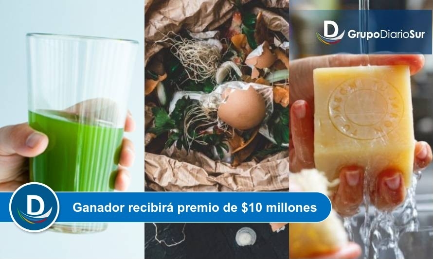 Finalistas de “Nada Nos Detiene” Los Lagos comparten mirada de economía sustentable